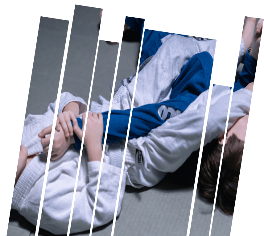 BJJ graphic image